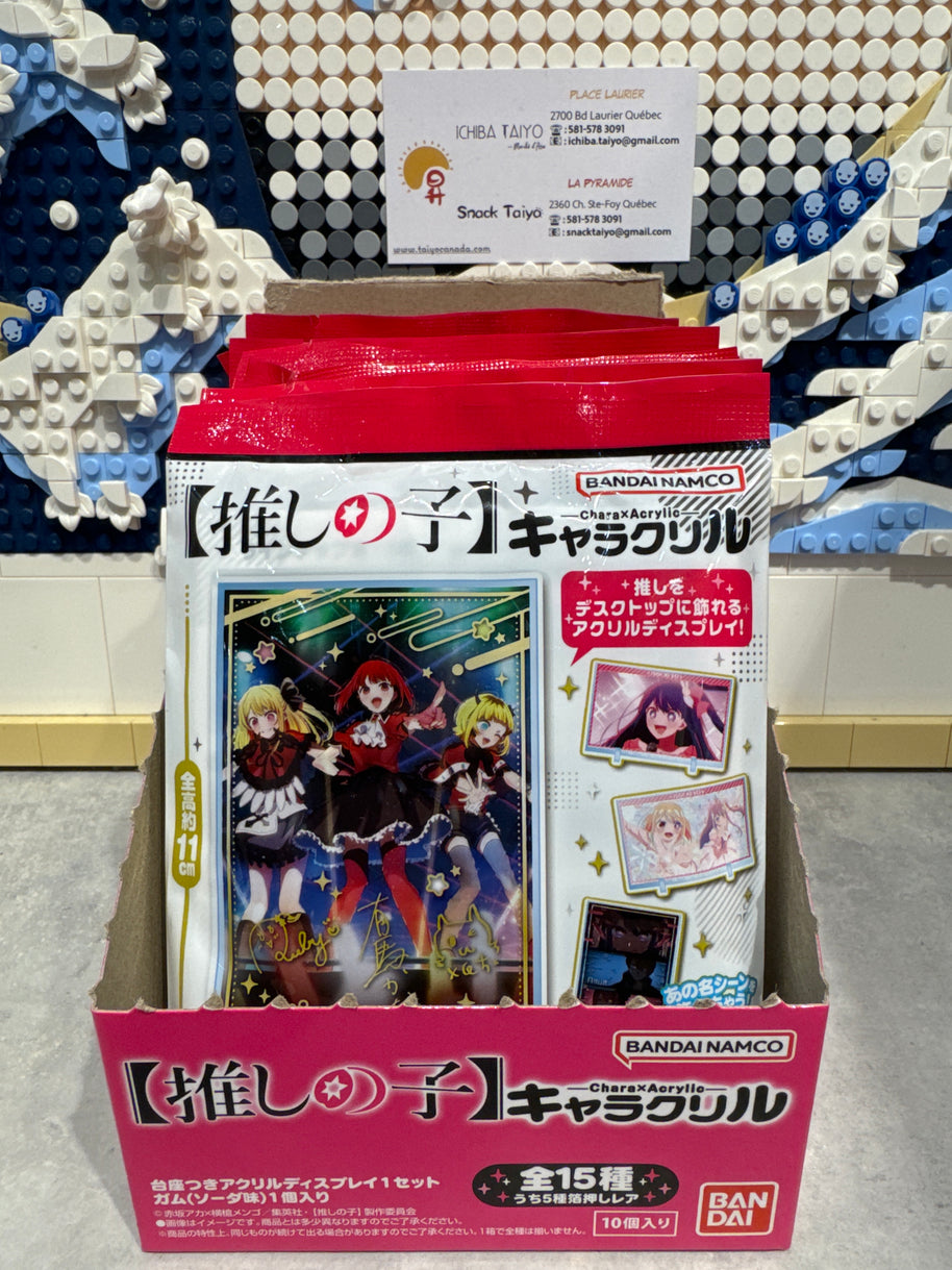 Gum Oshinoko avec présentoir