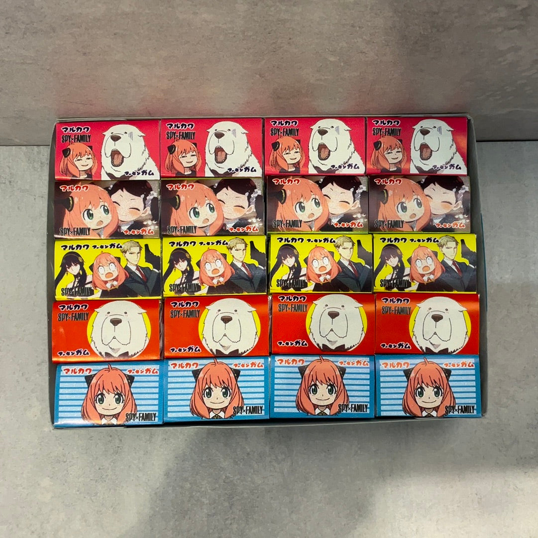 Chewing-gum Spy-Family MARUKAWA