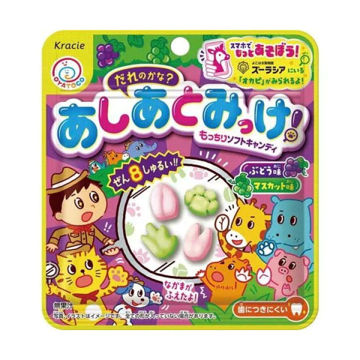 Kracie bonbon Pet Footprint 25g