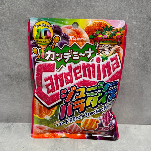 Bonbon mou aux fruits Candemina KANRO