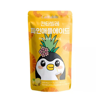 BOISSON DE POCHETTE DE Ananas ADE CANTABILE