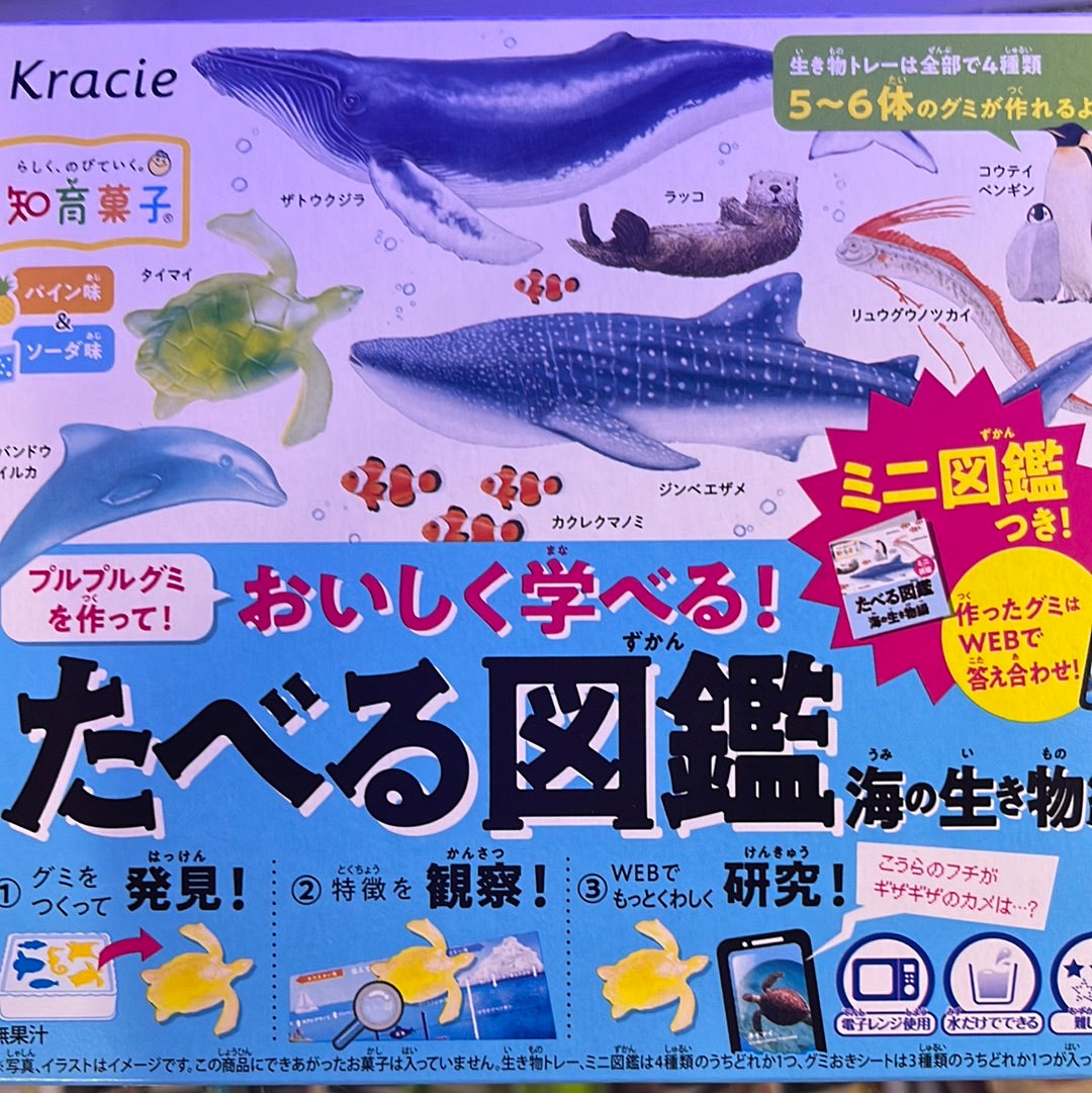 Kracie Bonbon DIY creature d’océan