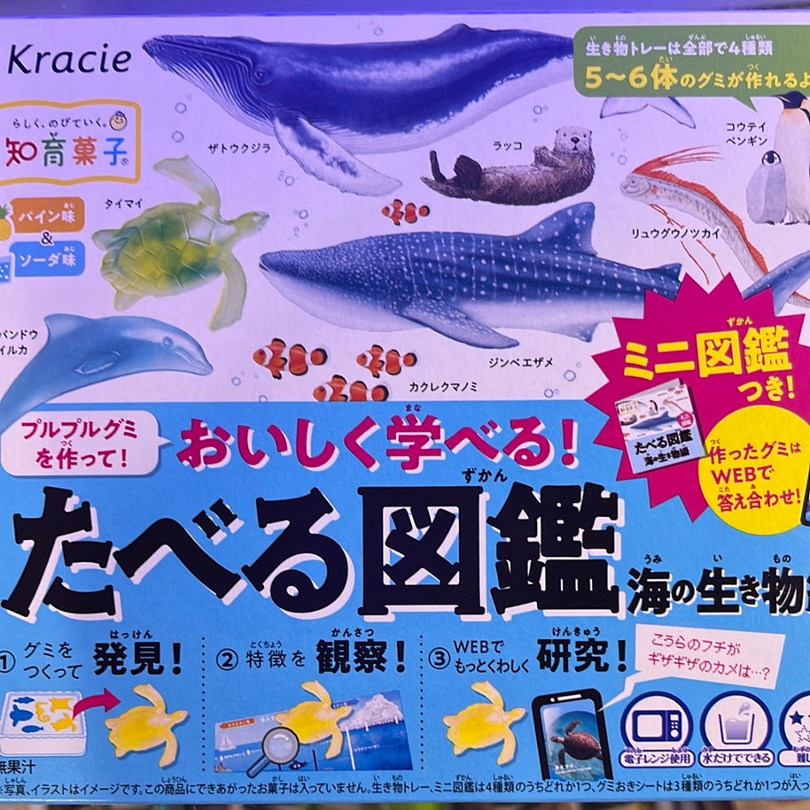 Kracie Bonbon DIY creature d’océan