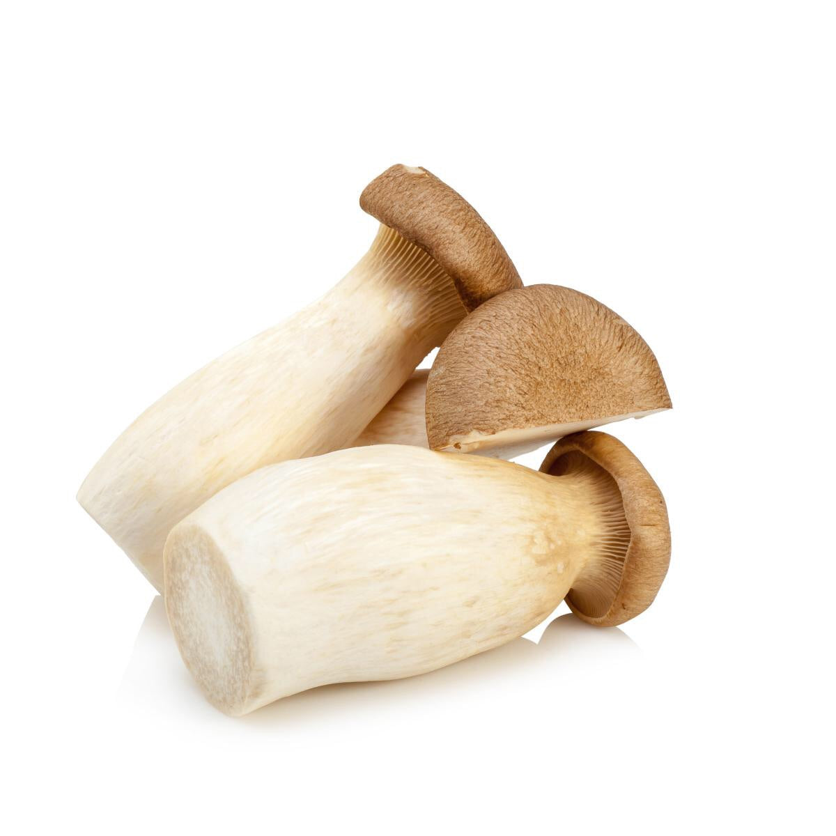 Champignon du Roi huître 杏鲍菇 400g