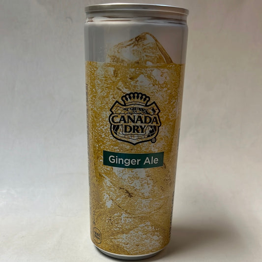 Canada Dry🇯🇵japonais 250mL