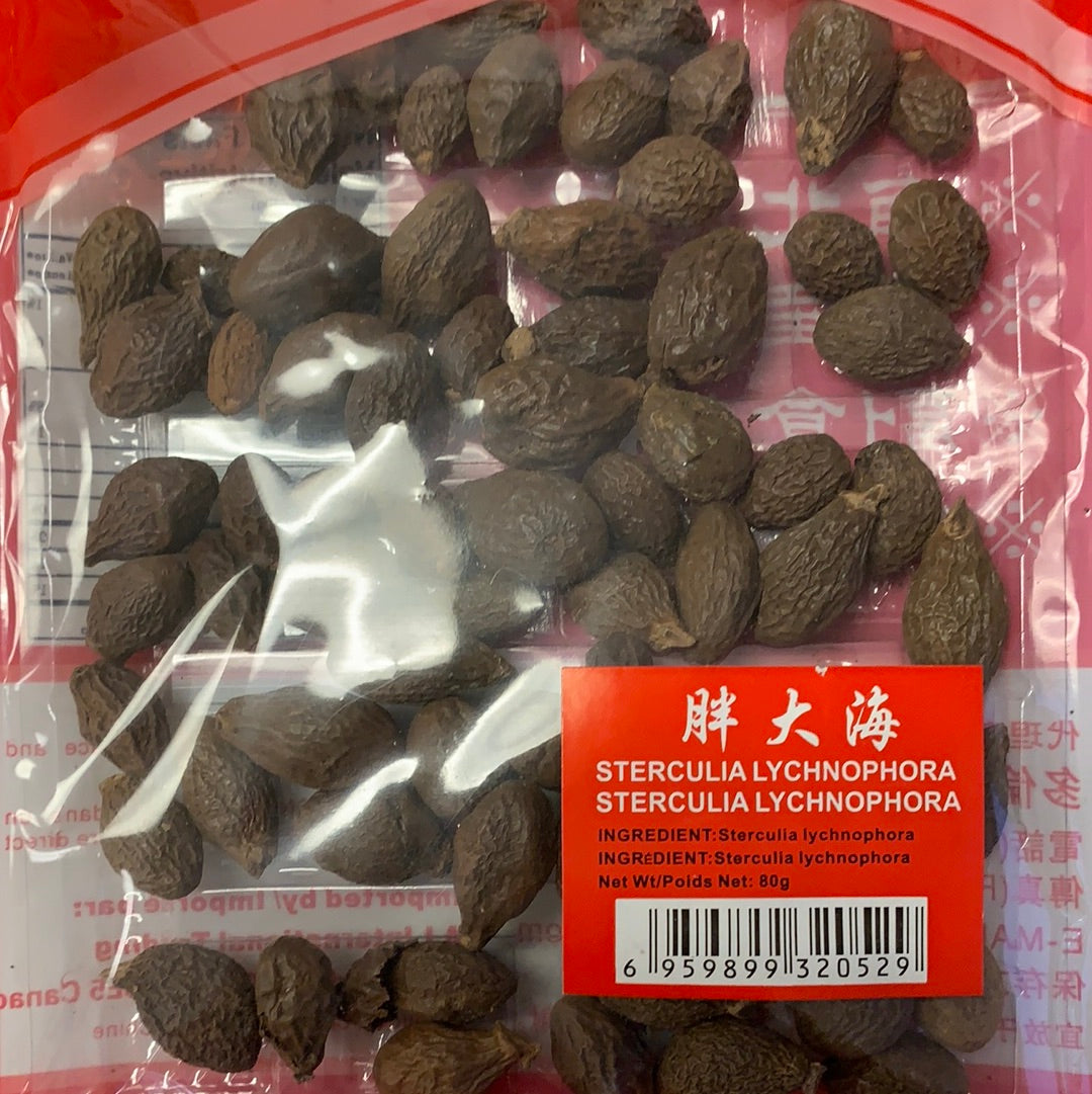 Sterculia lychnophora 胖大海80g