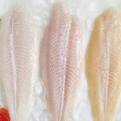 Filet de basa surgelé 急冻龙利鱼柳400g