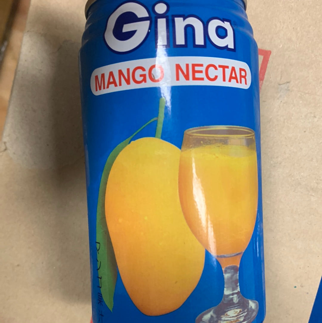 Jus de mangue GINA 340mL